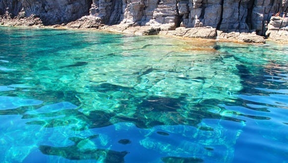 Corsica del sud - Crociere a vela e pesca