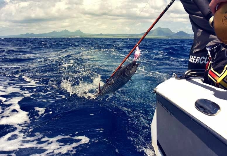 Pesca a traina costiera € 250,00 a persona - Crociere a vela e pesca